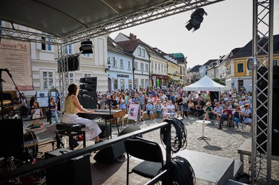 12-h-Konzert_1452©FranzGleiß.jpg