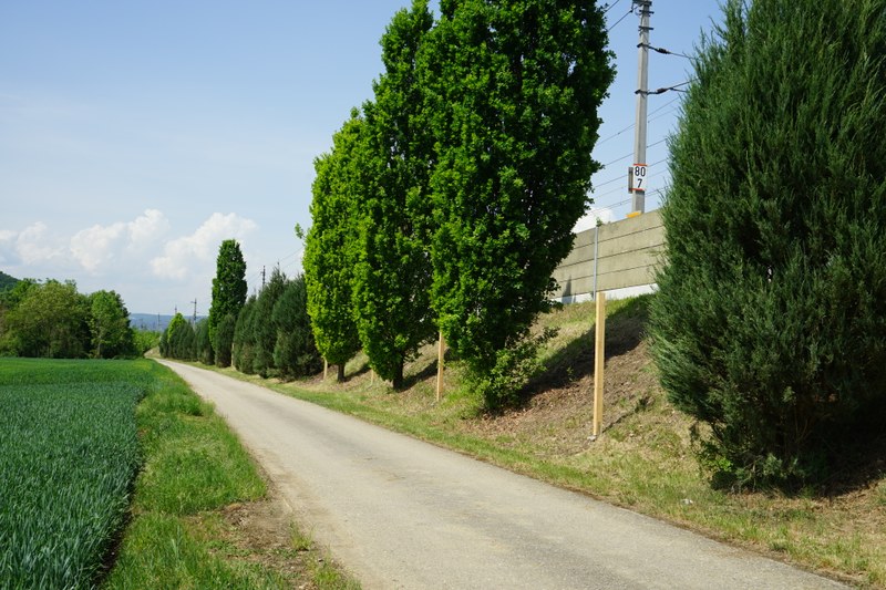 DSC05750.JPG