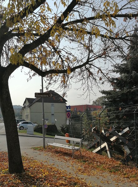 Exkursion-SZ-Ybbs-Fo13.jpg